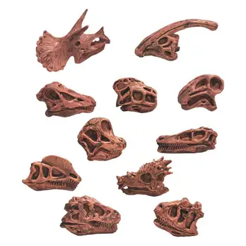 Ярък практичен череп на динозавър Паразавролофа Ископаемая модел Прост дизайн, Модел череп на динозавър Висока симулация за дома